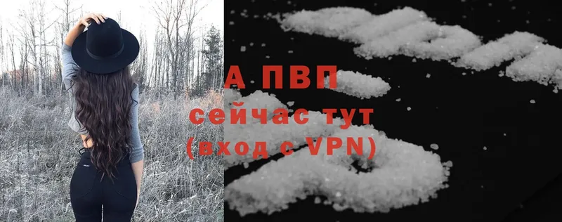 A-PVP СК  Анива 